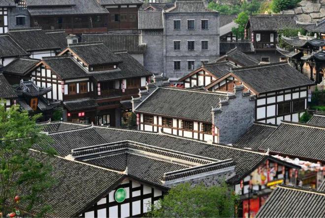 省政协委员杨涛：开展慢病科普规划教育，助力慢病防控关口前移